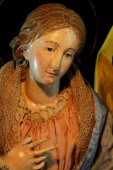 IMG_8800