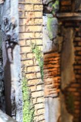 Krippe_6_0025
