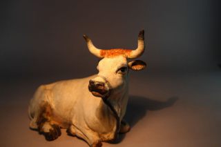 Mucca