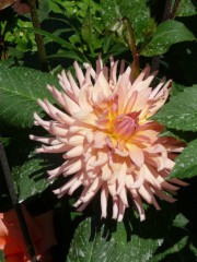 neapel_juni_2013_051