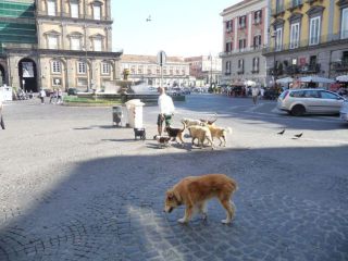 neapel_juni_2013_186