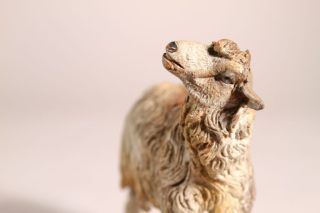 Neapolitanische Krippenfigur Schaf
