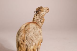 Neapolitanische Krippenfigur Schaf