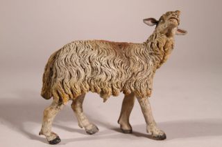 Neapolitanische Krippenfigur Schaf